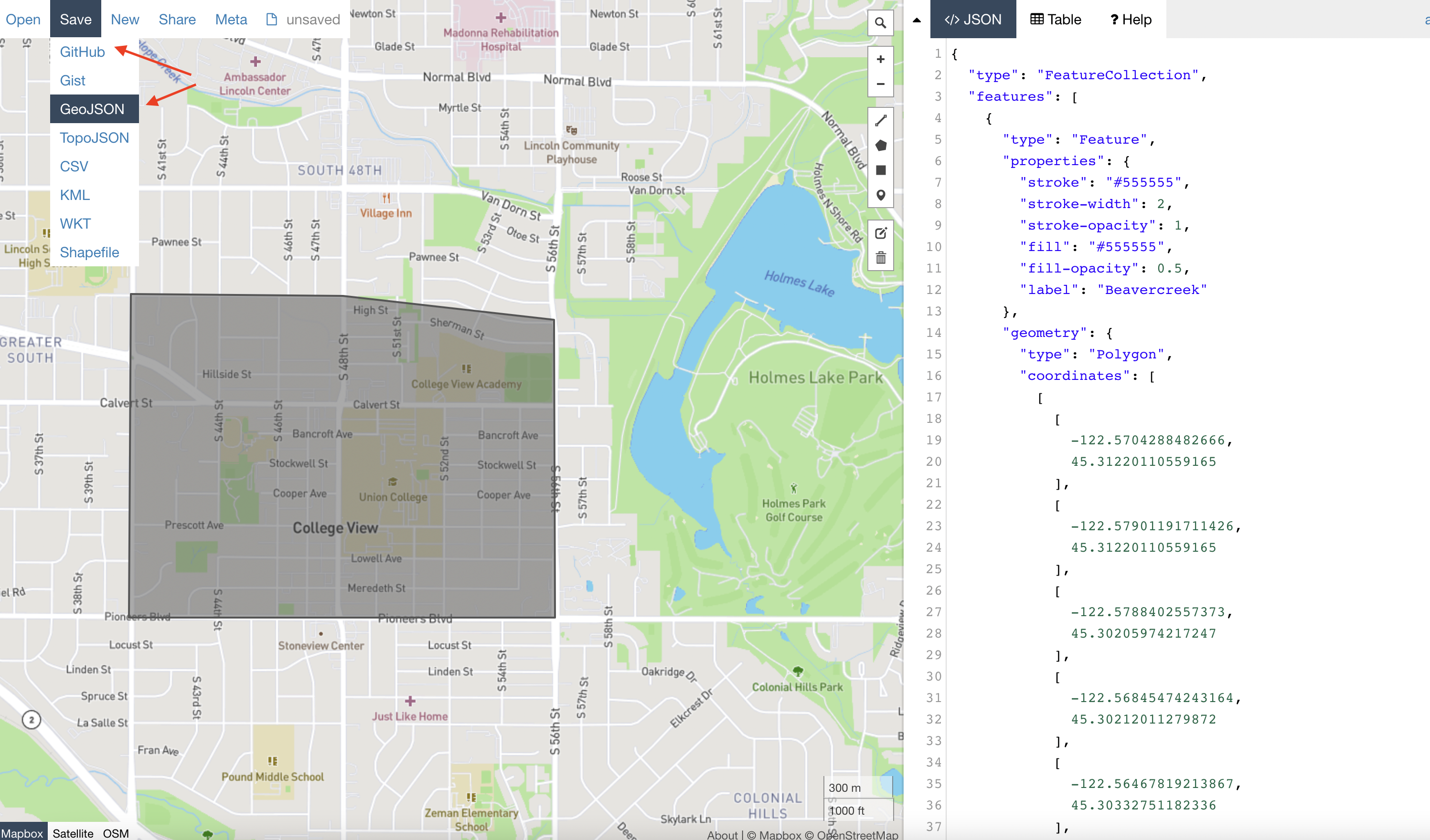 geoJson_Step_5.png